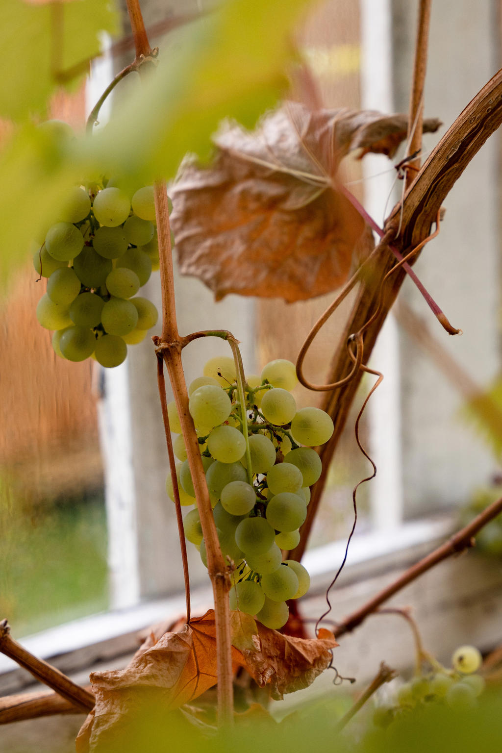 Detaljbild
