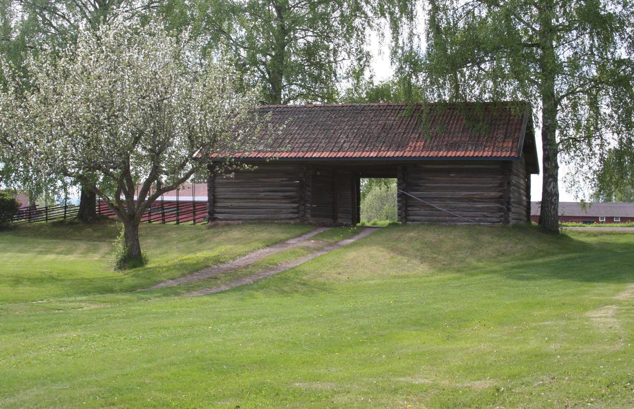 Infarten (från gården)