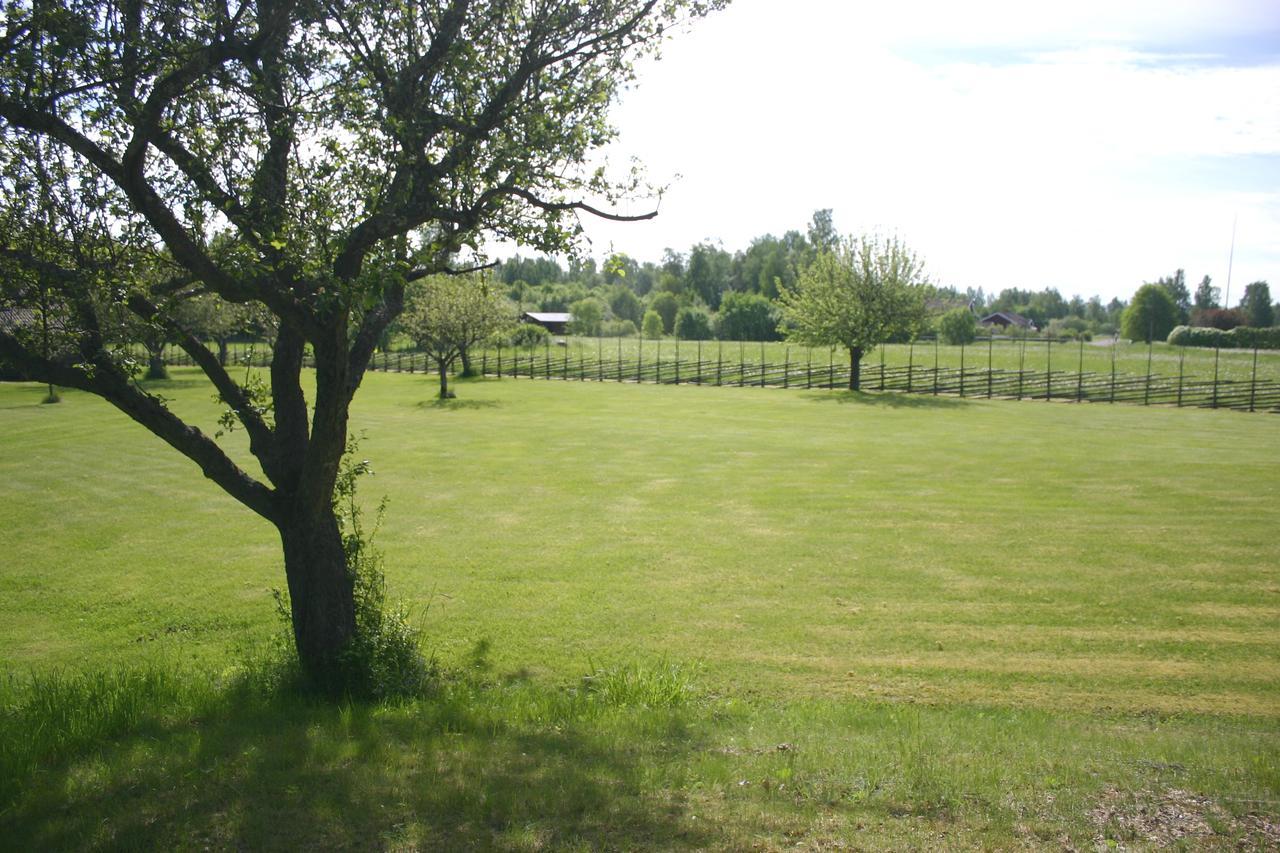 Stora härliga gräsytor