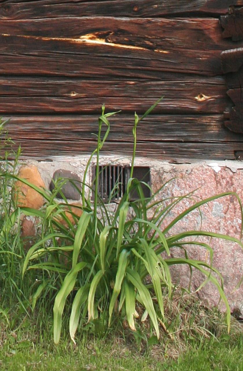 Detaljbild